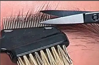 cut eyebrows with scissors