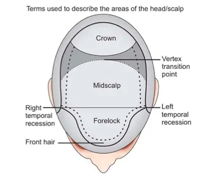 use eyebrow scissors to cut hair